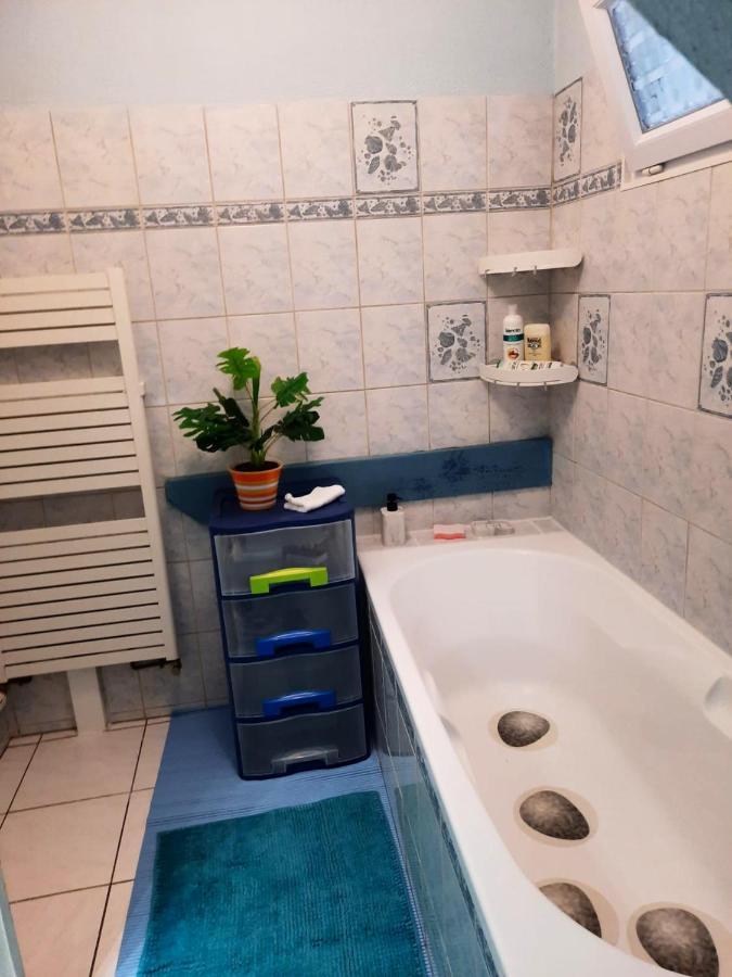 Appartement Spacieux A Ingersheim Avec Vue Sur Jardin 100 M² Eksteriør bilde
